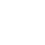 Haas F1 Team logo